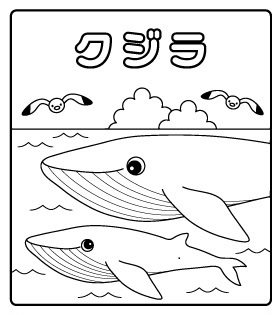 ぬりえ クジラ 見本