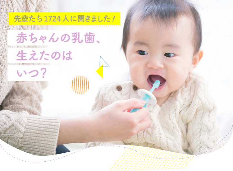アカチャンホンポが赤ちゃんの乳歯について1,724人のリアルな声をお届け!いつ頃生えた?生え始めはいつだった?など気になる内容が盛りだくさん!
